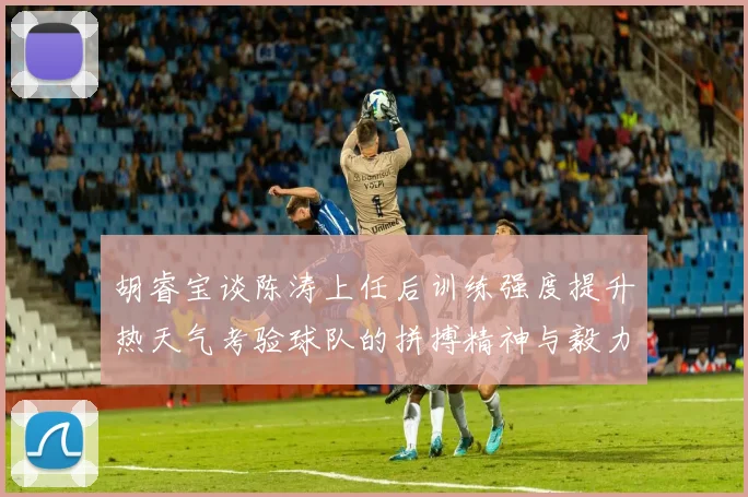 胡睿宝谈陈涛上任后训练强度提升热天气考验球队的拼搏精神与毅力