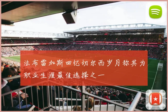 法布雷加斯回忆切尔西岁月称其为职业生涯最佳选择之一
