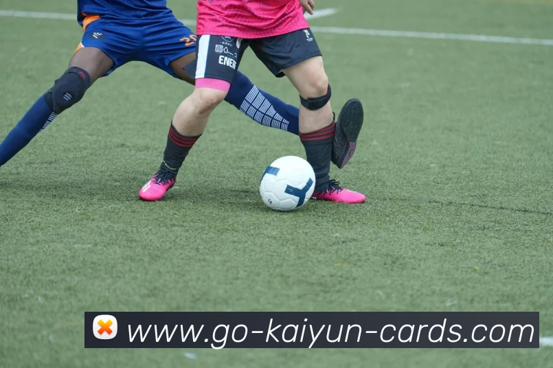 开云棋牌官网APP 封面图